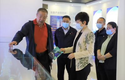 市委常委、宣传部部长韦青到网信快3走访调研