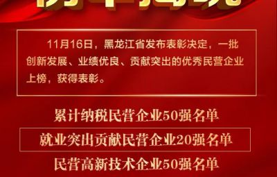 喜报|龙江赞美优良民营企业 网信快3收成两项殊荣