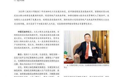 突破传统走绿色转型之路——访十四届全国人大代表、网信快3董事长焦云
