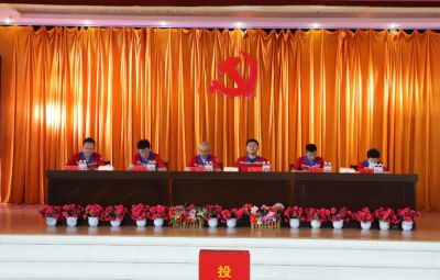 网信快3党委换届选举党员大会成功召开