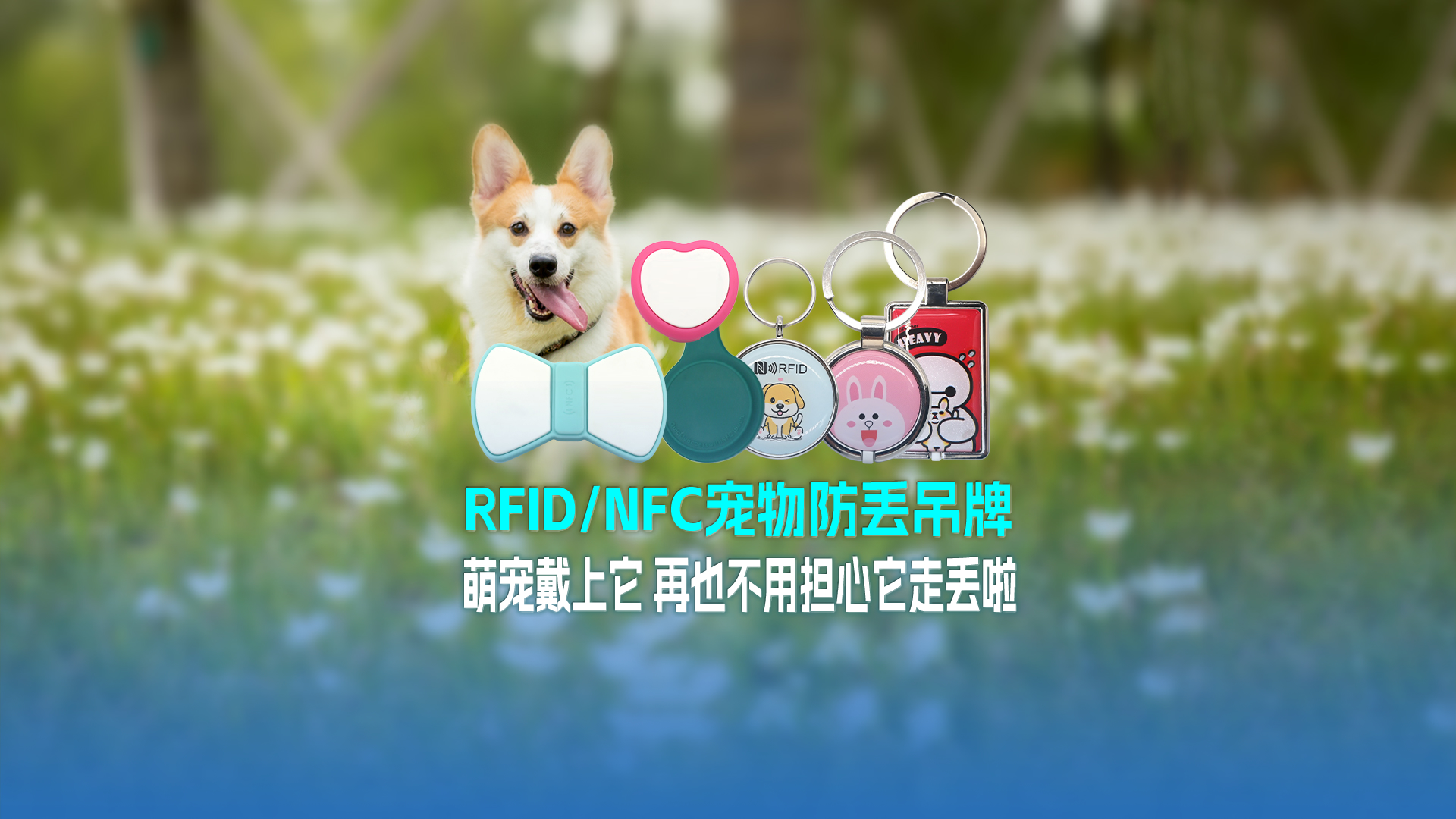 和记集团RFID宠物防丢吊牌：萌宠戴上它 再也不必担心它走丢啦
